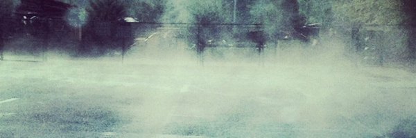 rasmithii Profile Banner