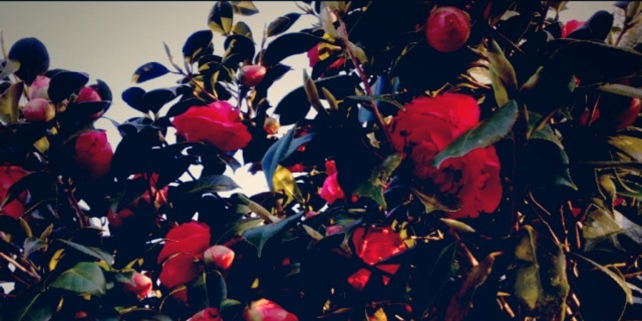 sister69's profile banner image