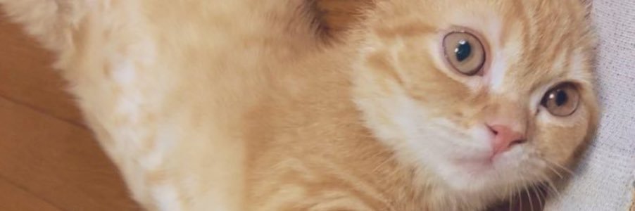 michamichaking's profile banner image