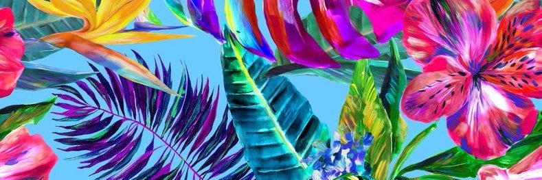 soyofav's profile banner image