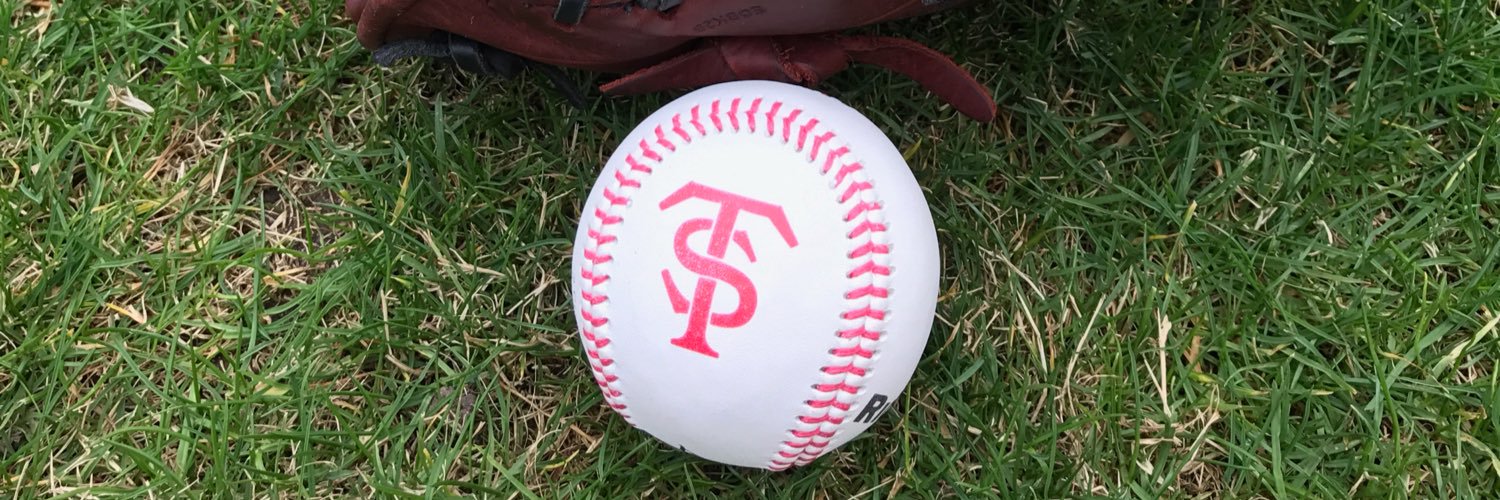 TempeSouth Little League banner