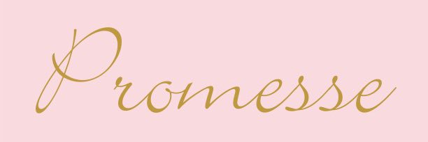 Promesse banner