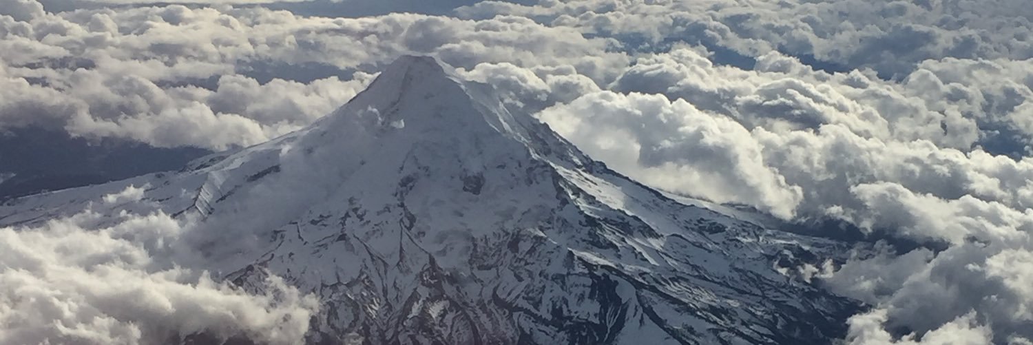 LangDavison's profile banner image