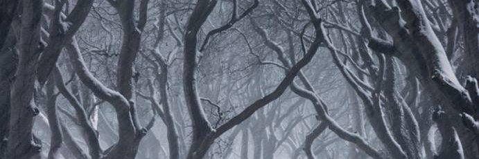 LadyElenor's profile banner image