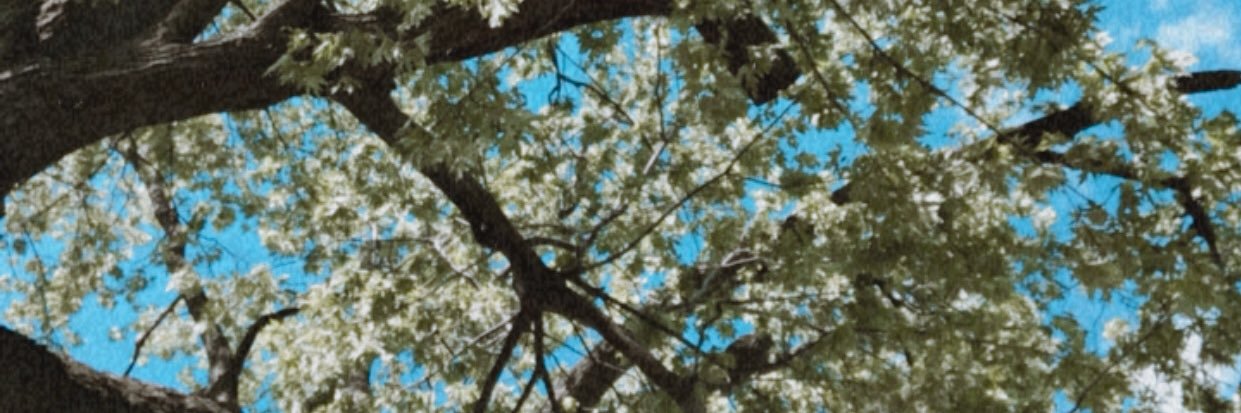 monammatan's profile banner image
