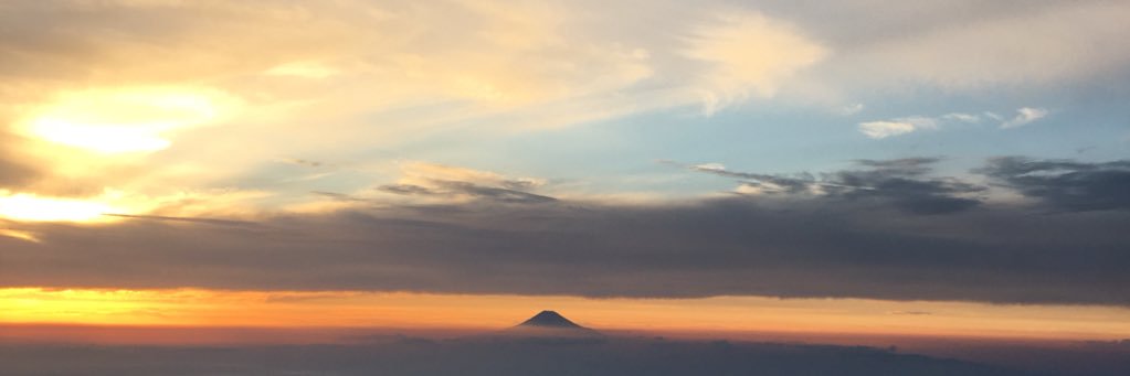 さらだばー banner