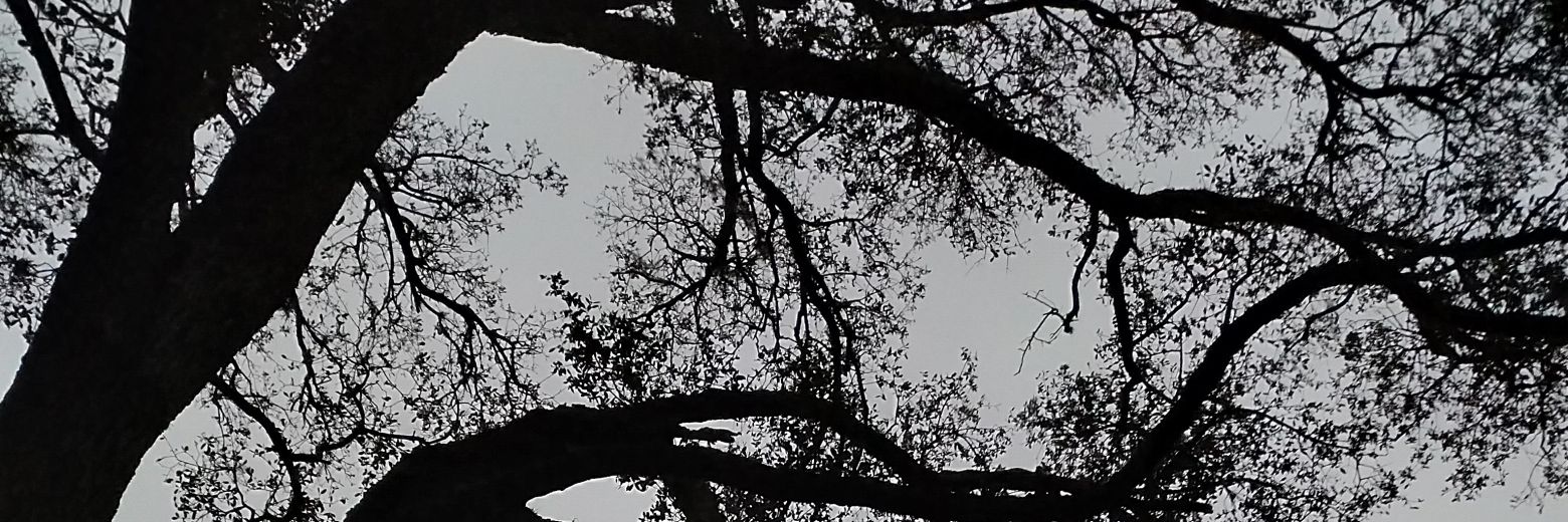 marcoscrispim's profile banner image