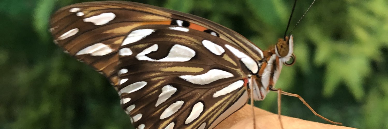 athaiscaroldss's profile banner image