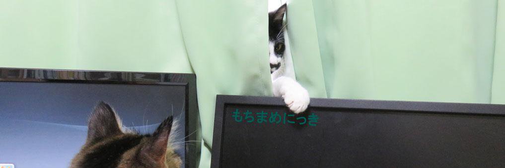 unisabure's profile banner image