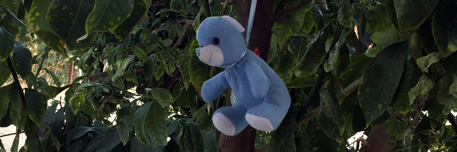 brsby's profile banner image