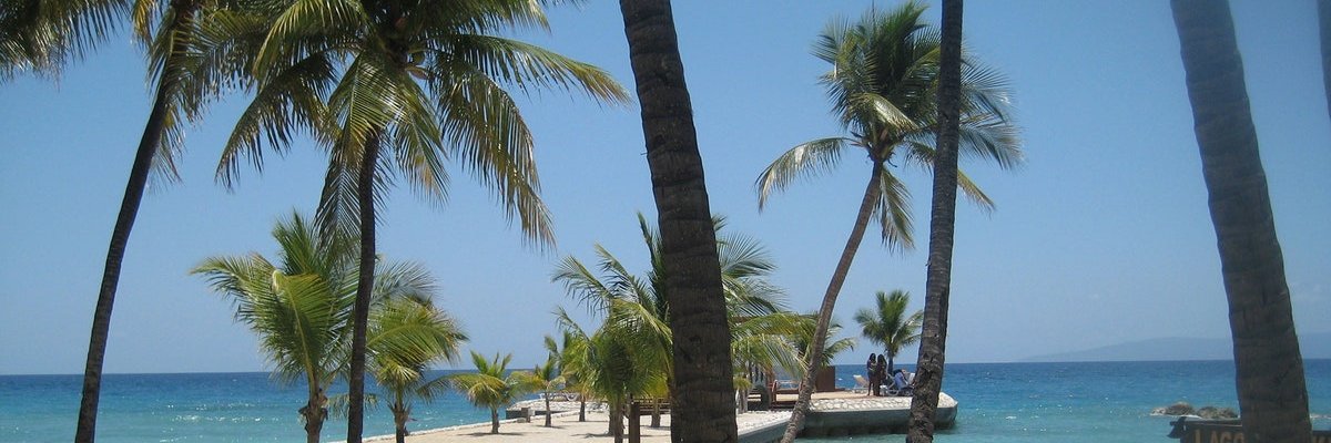 MsCushingClass's profile banner image
