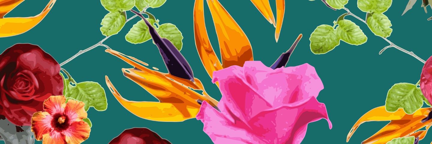 PolaSandoval's profile banner image