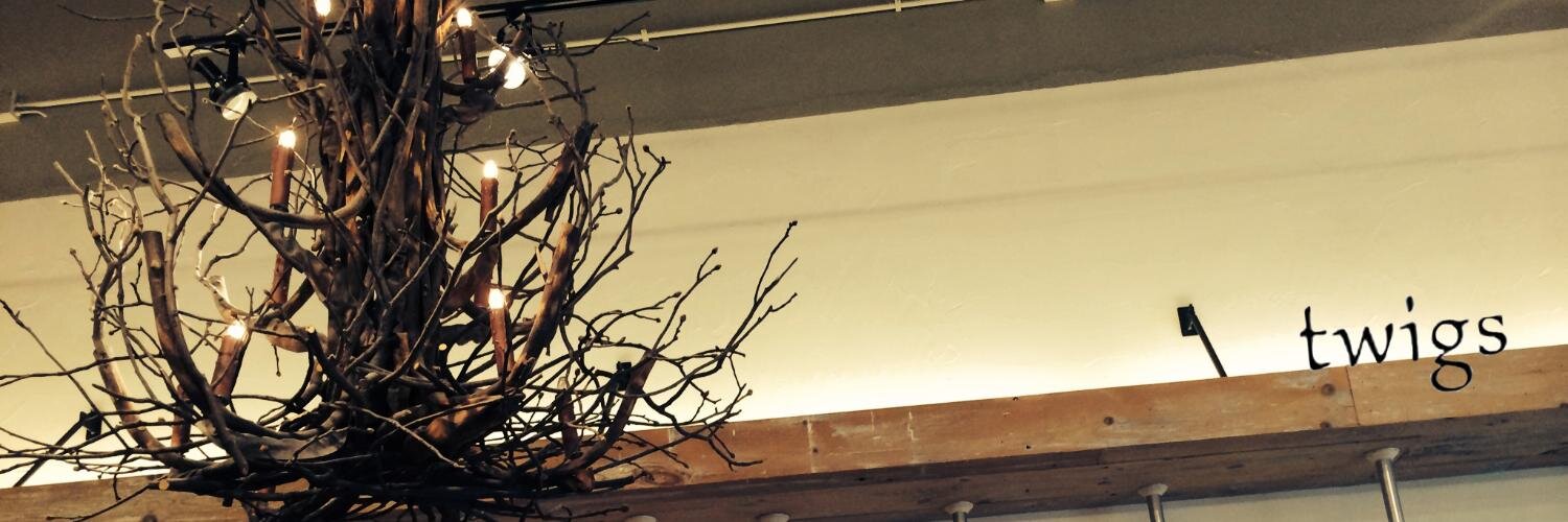 ShopTwigs banner