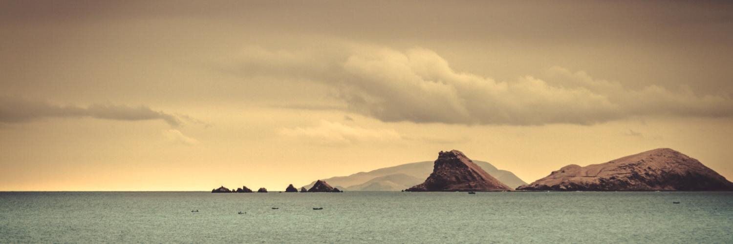 Coco Esteves 🇵🇪🇵🇸🇺🇦 banner