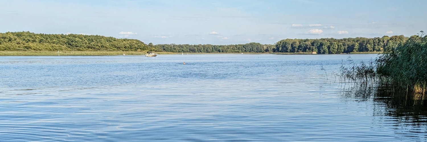 lucasbrut's profile banner image
