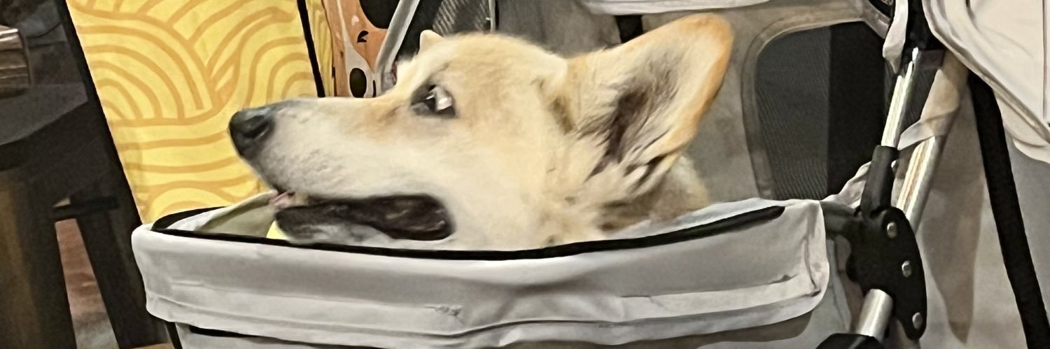 CappucciOh My God banner