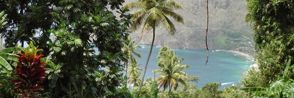 TravelFilmer Profile Banner