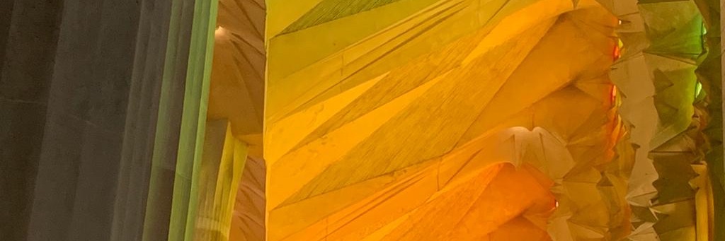 Prof. F Xavier cos, MD, PhD banner