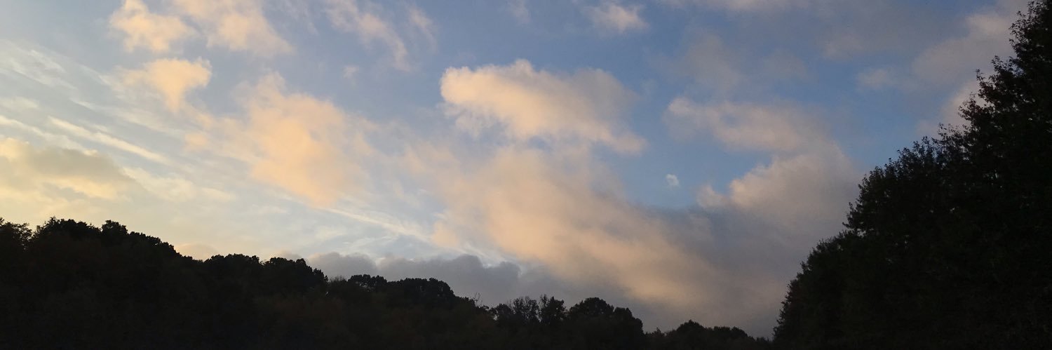 devlinrose's profile banner image