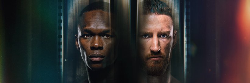 UFC banner