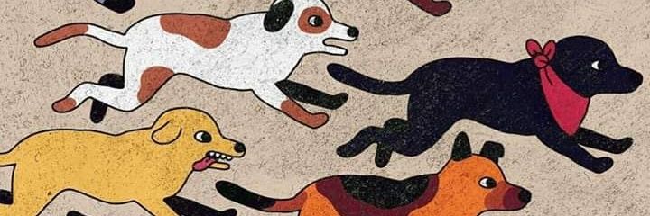 daniialejo's profile banner image