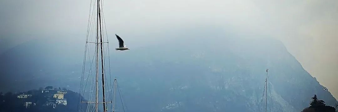 havadansudan 🥰🍀 banner