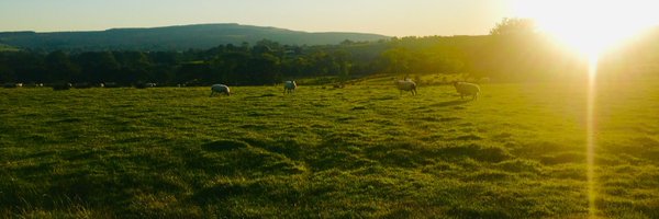 DrMaxineW Profile Banner