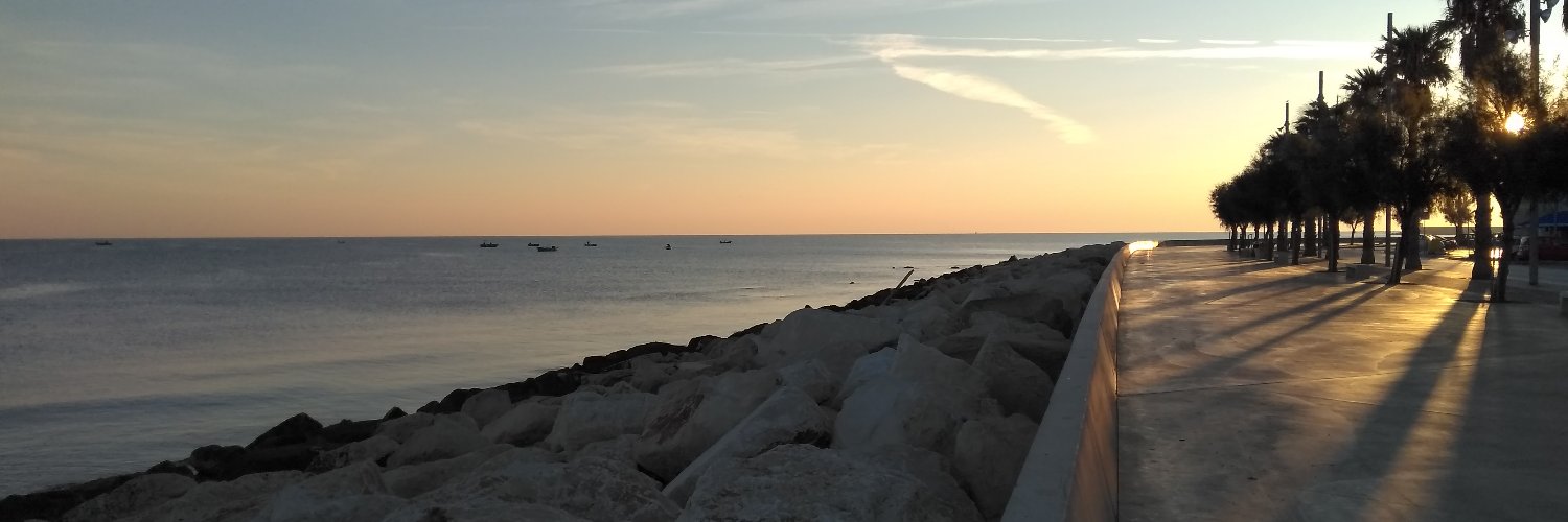 DomenicoLofu's profile banner image