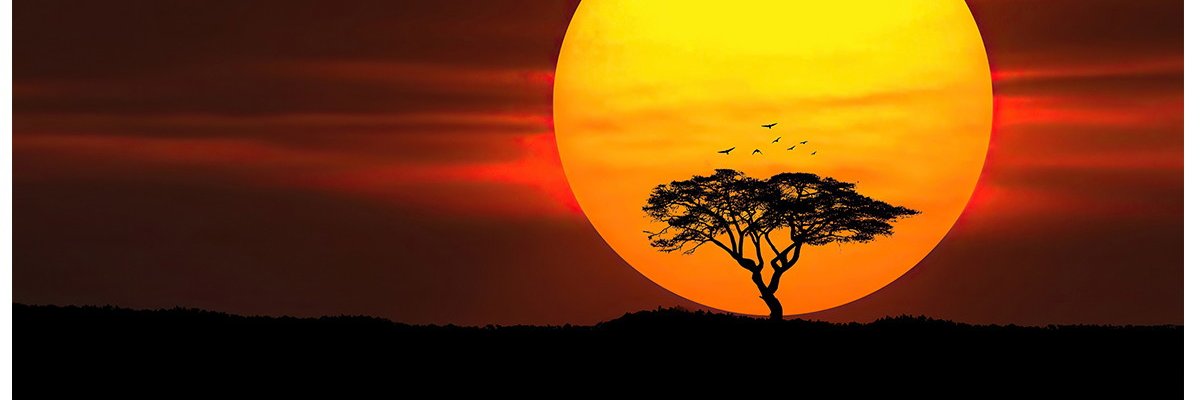 frmilani's profile banner image