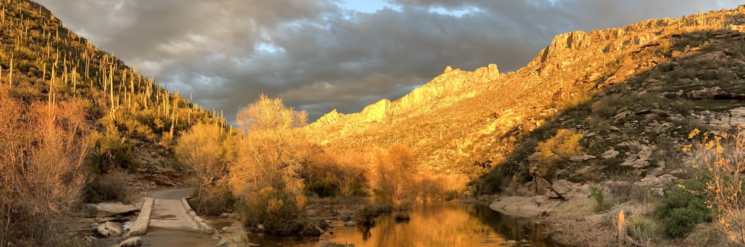 Gregory J. Woodhead banner