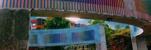 Rocasycorcheas's profile banner image