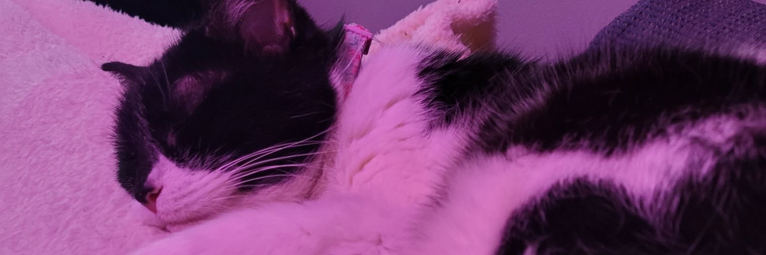 stuffwithbits's profile banner image