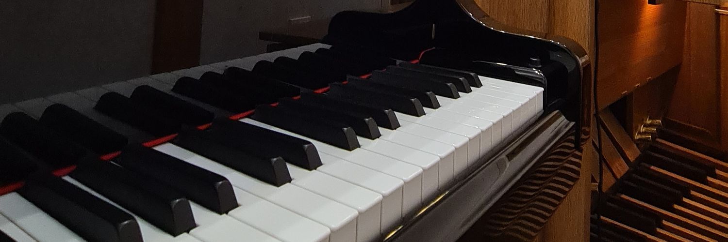 dyanezf's profile banner image