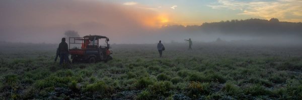 forestpreserves Profile Banner