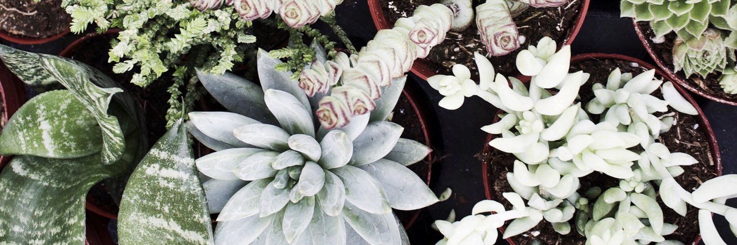 Audrey_Egg's profile banner image