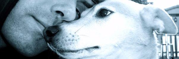 Sebastian Ferron banner