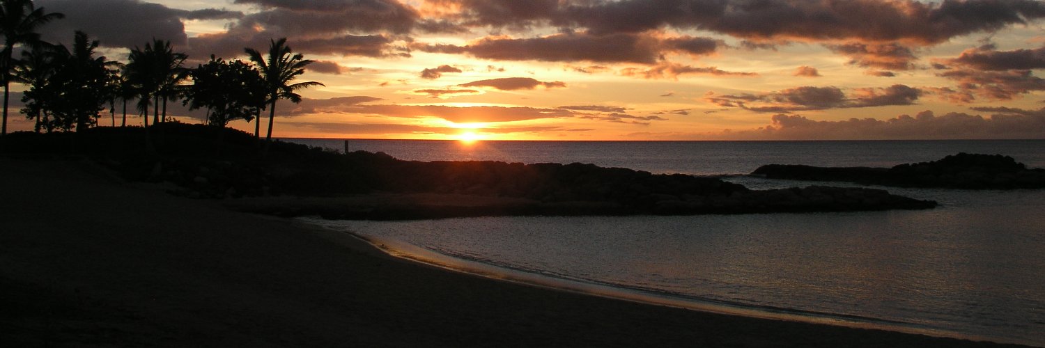 Deborah Little banner