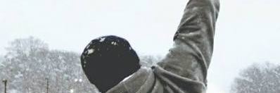 Robert banner