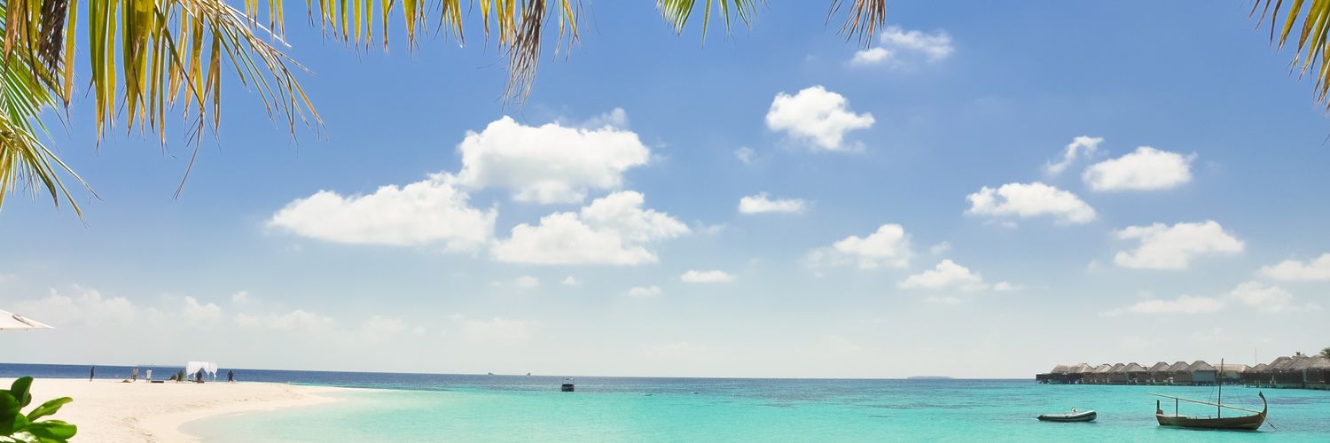 alibit__'s profile banner image