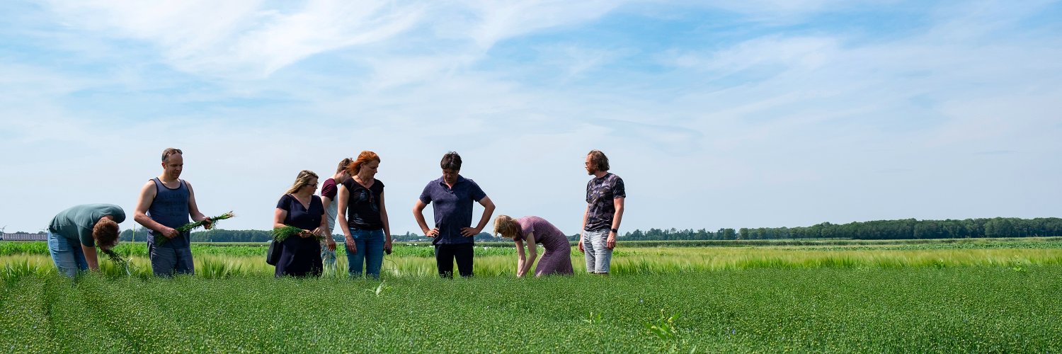 House of Design banner