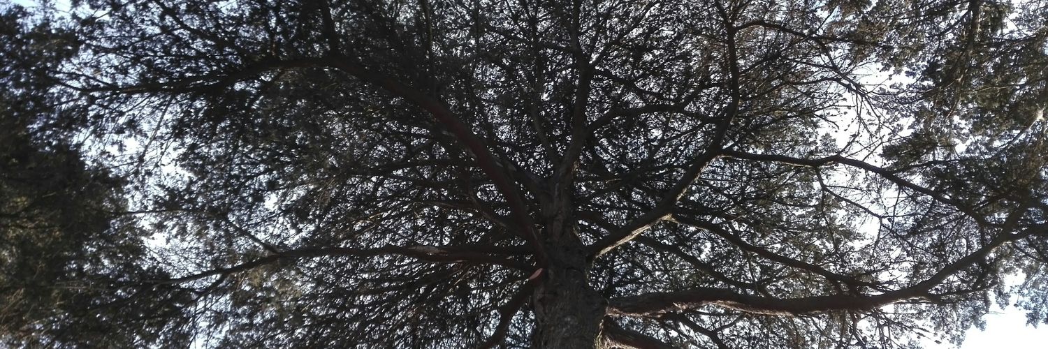 MarceSM's profile banner image