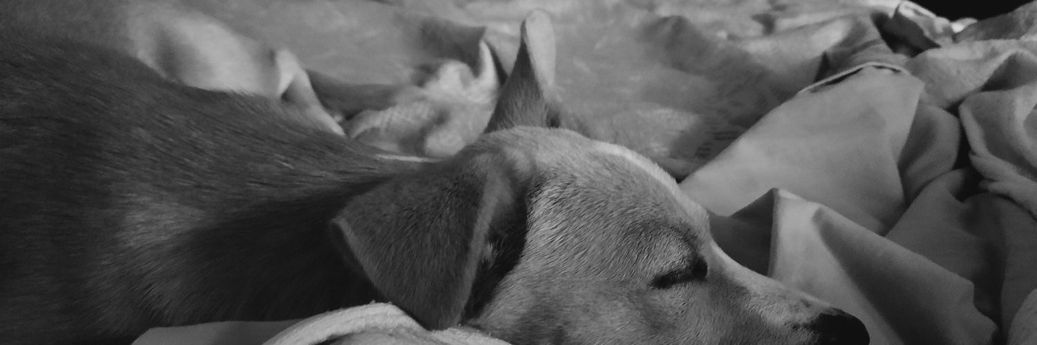 MelaniSol's profile banner image