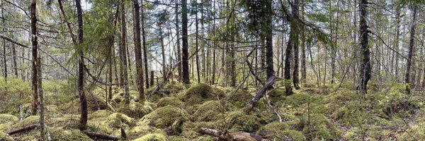 benlucier Profile Banner