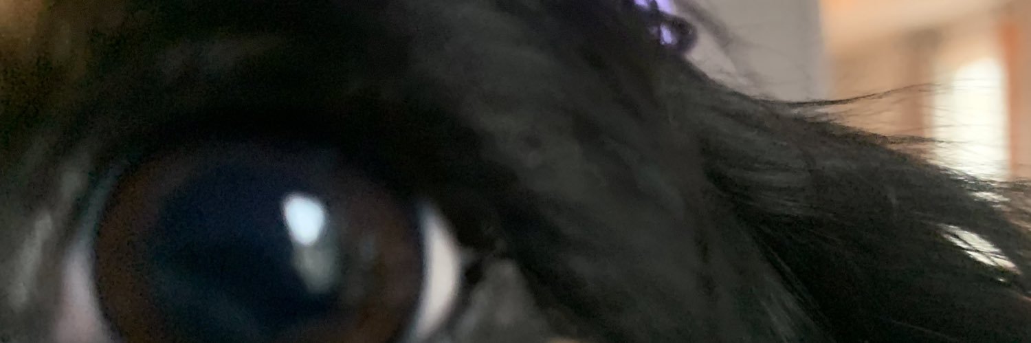 ppartridge1's profile banner image