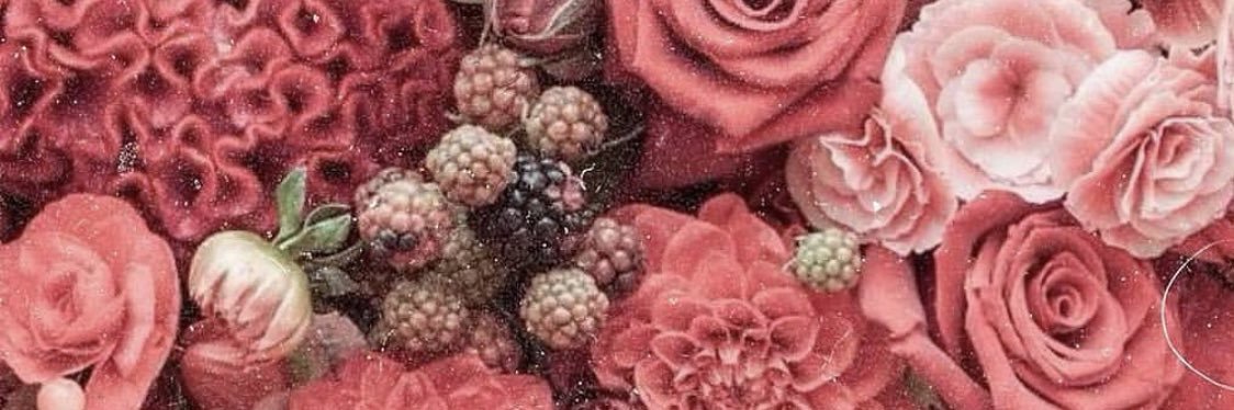 cnoellexo's profile banner image