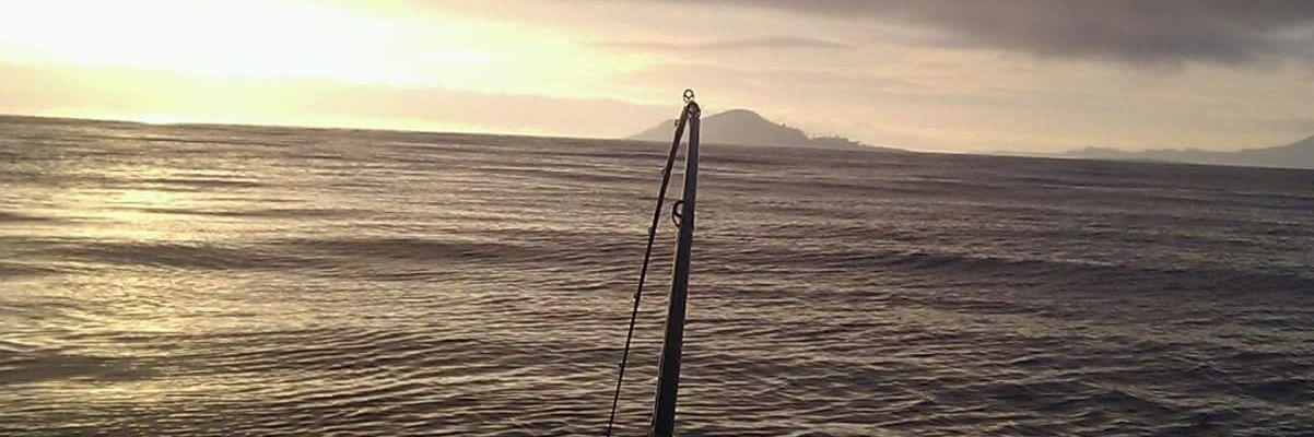 Tanu Lusignan banner