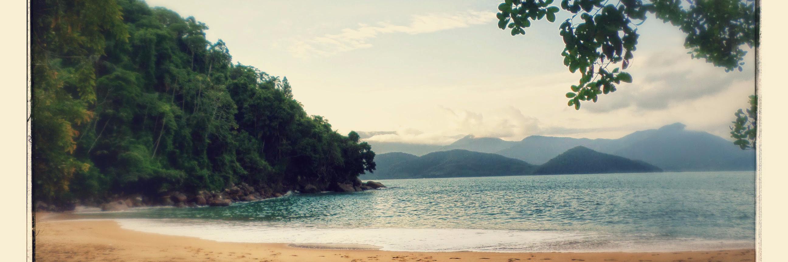 AndreiaDaSilva's profile banner image