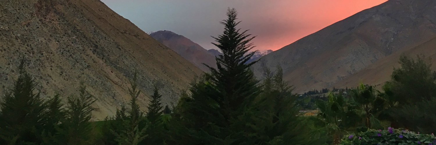 Catalina Rojas O. banner