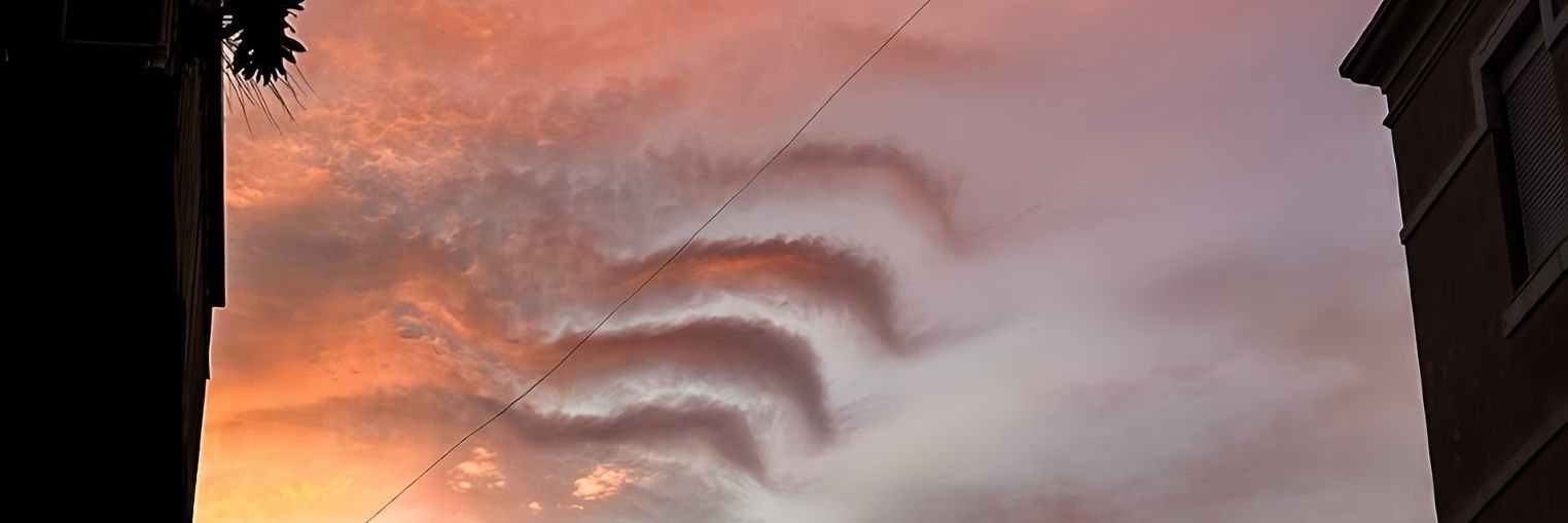 lauramichellee_'s profile banner image