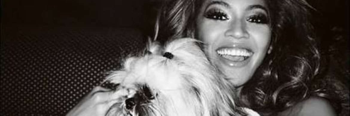 Mariiibey's profile banner image